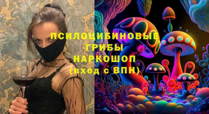 Псилоцибиновые грибы Cubensis  Павлово 